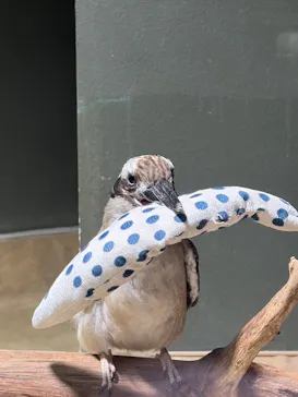 カワスイ 川崎⽔族館に投稿された画像（2026/3/28）