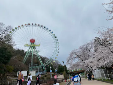 東京サマーランドに投稿された画像（2026/3/28）