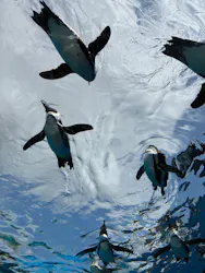 サンシャイン水族館に投稿された画像（2026/3/28）