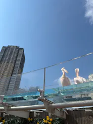 サンシャイン水族館に投稿された画像（2026/3/28）