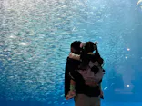 名古屋港水族館に投稿された画像（2026/3/28）
