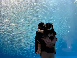 名古屋港水族館に投稿された画像（2026/3/28）