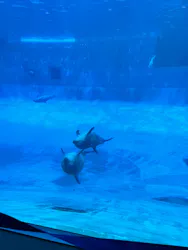 名古屋港水族館に投稿された画像（2026/3/28）