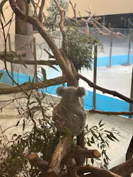 アソビュー株式会社　161721に投稿された画像（2026/3/28）