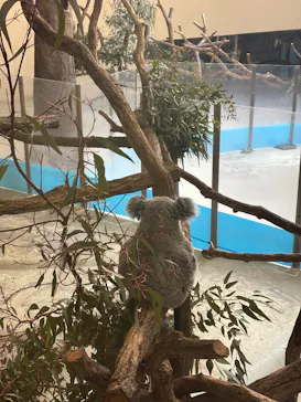 アソビュー株式会社　161721に投稿された画像（2026/3/28）