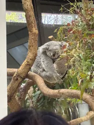 こども動物自然公園（埼玉県公園緑地協会）に投稿された画像（2026/3/28）