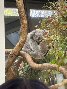 こども動物自然公園（埼玉県公園緑地協会）に投稿された画像（2026/3/28）