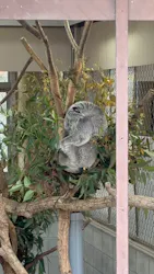 こども動物自然公園（埼玉県公園緑地協会）に投稿された画像（2026/3/28）