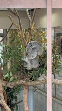 こども動物自然公園（埼玉県公園緑地協会）に投稿された画像（2026/3/28）