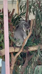 こども動物自然公園（埼玉県公園緑地協会）に投稿された画像（2026/3/28）