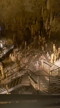 おきなわワールドに投稿された画像（2026/3/28）