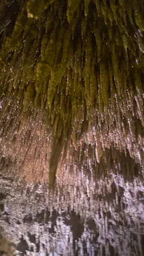 おきなわワールドに投稿された画像（2026/3/28）