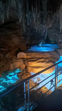 おきなわワールドに投稿された画像（2026/3/28）