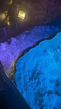 おきなわワールドに投稿された画像（2026/3/28）