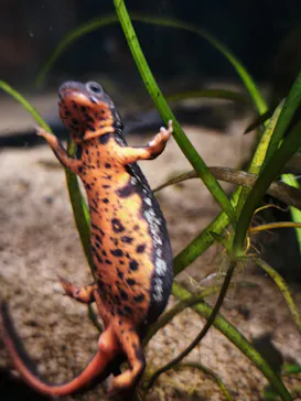 AQUARIUM × ART　atoaに投稿された画像（2026/3/28）