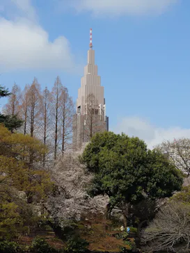 新宿御苑に投稿された画像（2026/3/28）