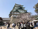 名古屋城に投稿された画像（2026/3/28）