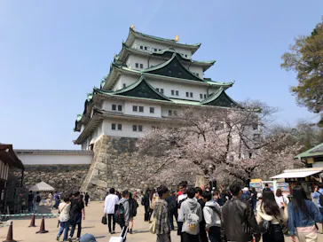 名古屋城に投稿された画像（2026/3/28）