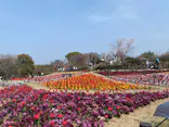 名古屋市東山動植物園に投稿された画像（2026/3/28）