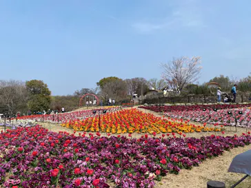 名古屋市東山動植物園に投稿された画像（2026/3/28）