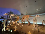福井県立恐竜博物館に投稿された画像（2026/3/28）