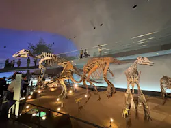 福井県立恐竜博物館に投稿された画像（2026/3/28）