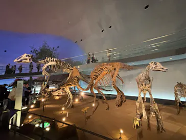 福井県立恐竜博物館に投稿された画像（2026/3/28）