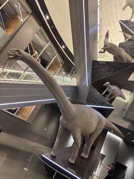 福井県立恐竜博物館に投稿された画像（2026/3/28）