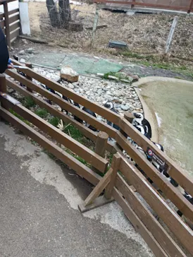 那須どうぶつ王国に投稿された画像（2026/3/28）