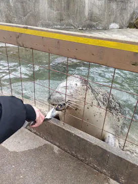 那須どうぶつ王国に投稿された画像（2026/3/28）