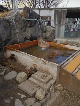 那須どうぶつ王国に投稿された画像（2026/3/28）