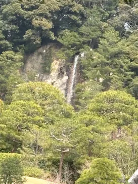 足立美術館に投稿された画像（2026/3/28）