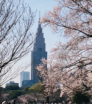 新宿御苑に投稿された画像（2026/3/28）