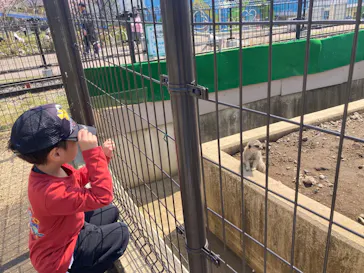 あらかわ遊園に投稿された画像（2026/3/28）