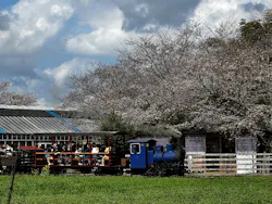 成田ゆめ牧場に投稿された画像（2026/3/28）