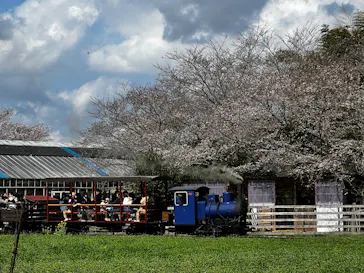 成田ゆめ牧場に投稿された画像（2026/3/28）