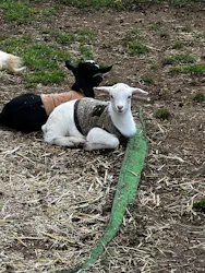 成田ゆめ牧場に投稿された画像（2026/3/28）