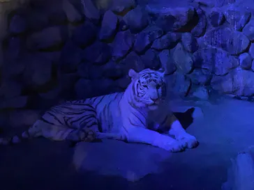 東武動物公園に投稿された画像（2026/3/28）