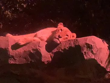 東武動物公園に投稿された画像（2026/3/28）