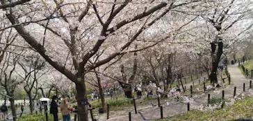 名古屋市東山動植物園に投稿された画像（2026/3/28）