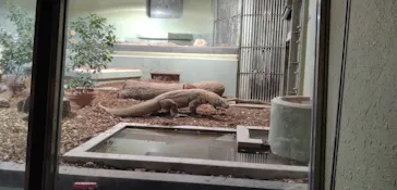 名古屋市東山動植物園に投稿された画像（2026/3/28）