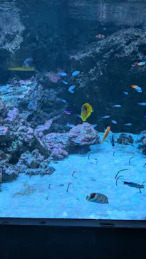 マクセル アクアパーク品川に投稿された画像（2026/3/28）