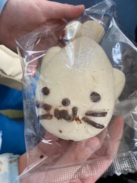 新江ノ島水族館に投稿された画像（2026/3/28）