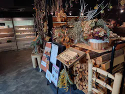 いばらきフラワーパークに投稿された画像（2026/3/28）