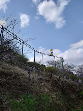 いばらきフラワーパークに投稿された画像（2026/3/28）