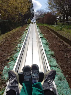 いばらきフラワーパークに投稿された画像（2026/3/28）