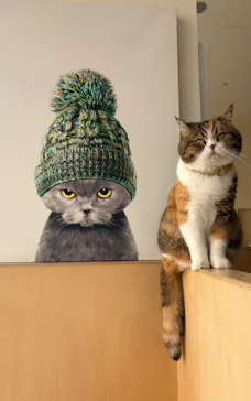 Cat Café MOFF 名古屋PARCO店に投稿された画像（2026/3/28）