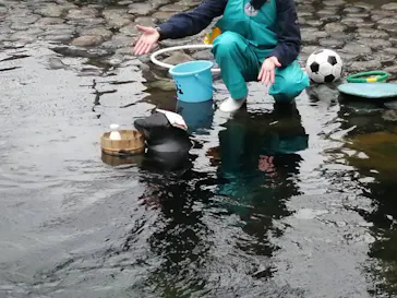 箱根園水族館に投稿された画像（2026/3/28）