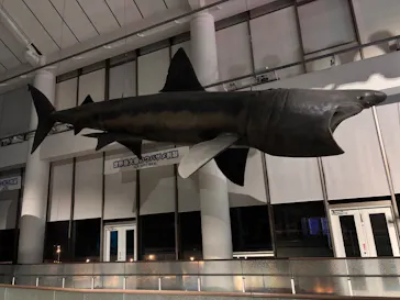 アクアワールド茨城県大洗水族館に投稿された画像（2026/3/28）