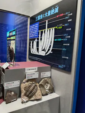 大絶滅展ー生命史のビッグファイブ（名古屋会場）に投稿された画像（2026/3/28）